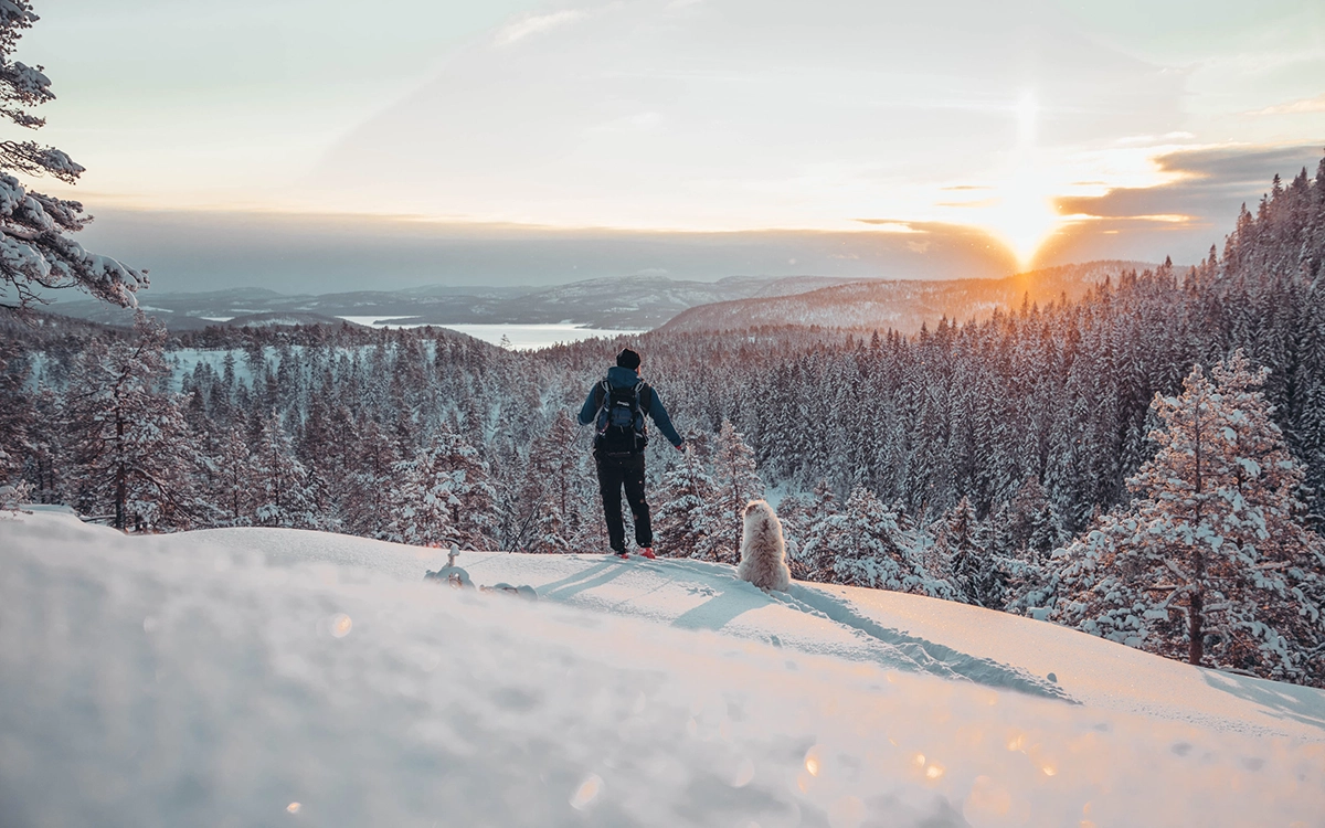 En person som åker skidor och en hund tittar ut över Skuleskogens nationalpark.